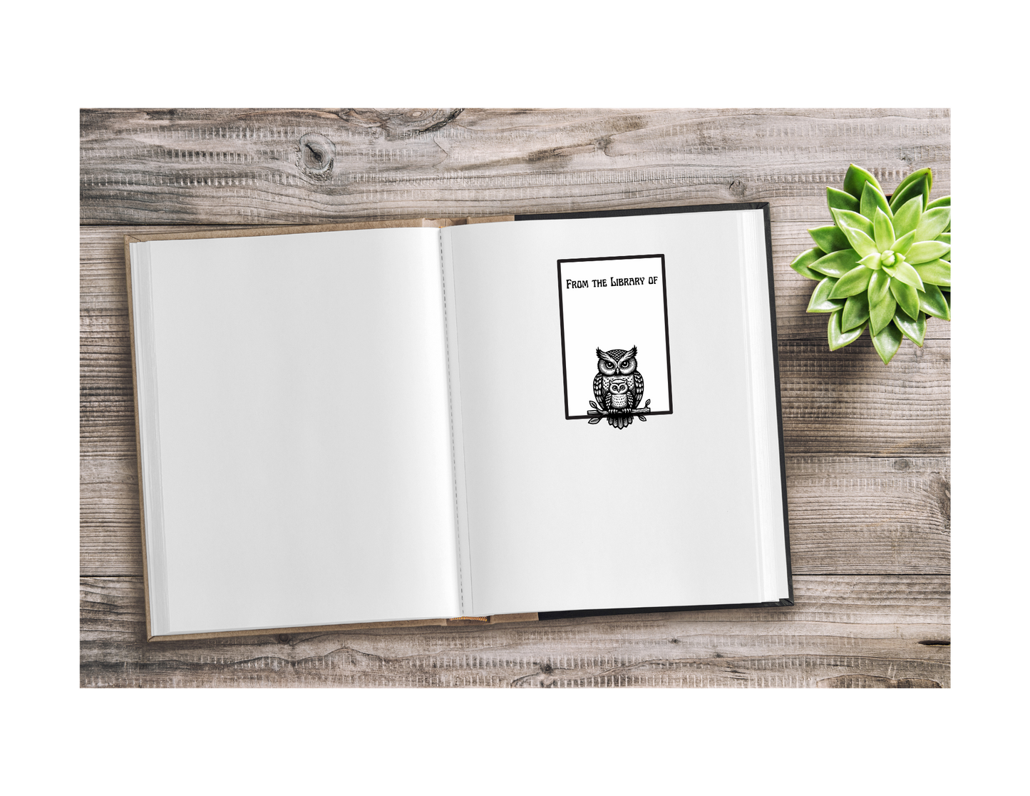 Vintage Style Owl Bookplates